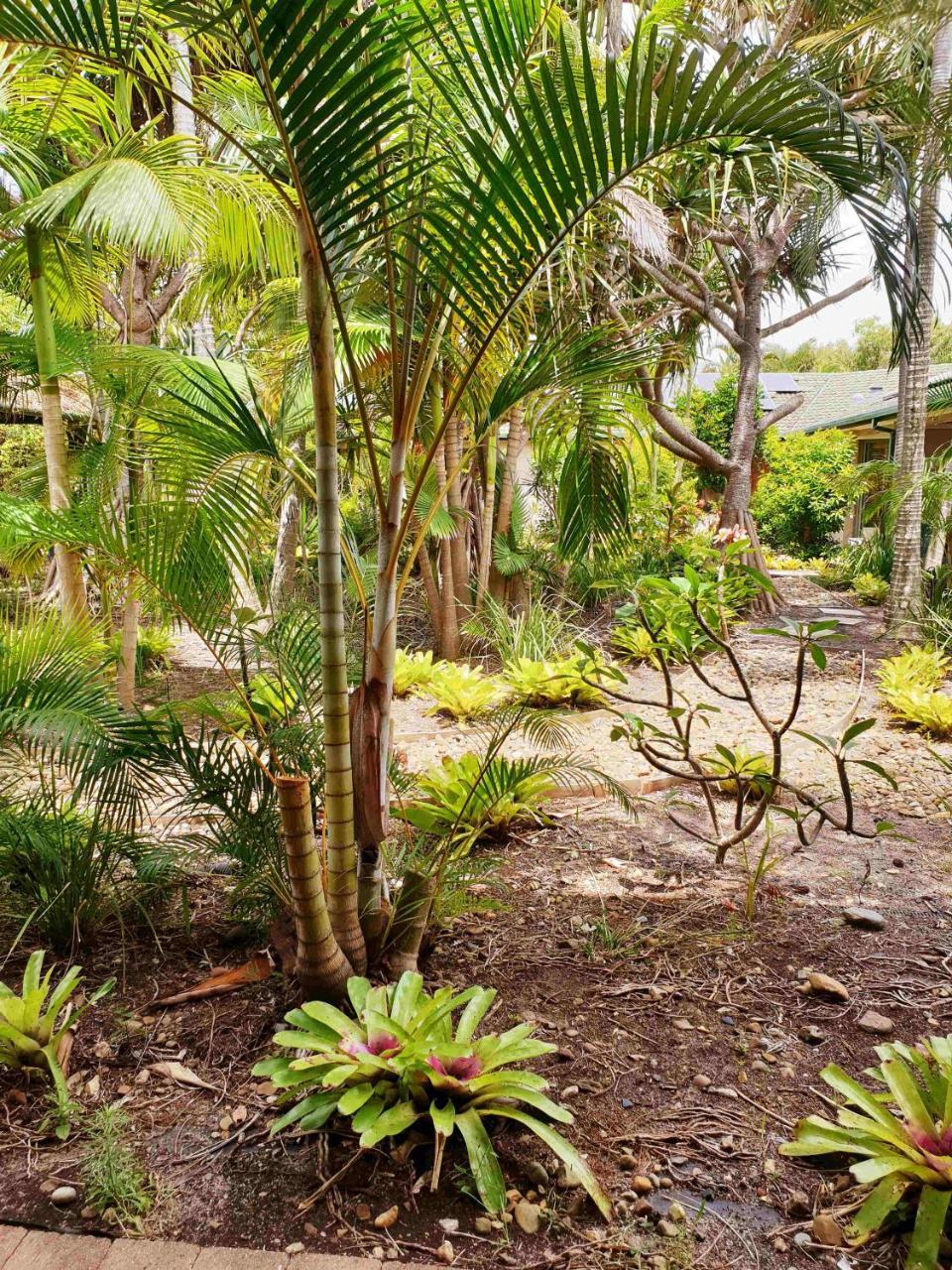 Ballina Beach Resort Extérieur photo